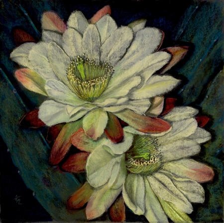 Cereus Nocturne by artist Anna Lisa Leal